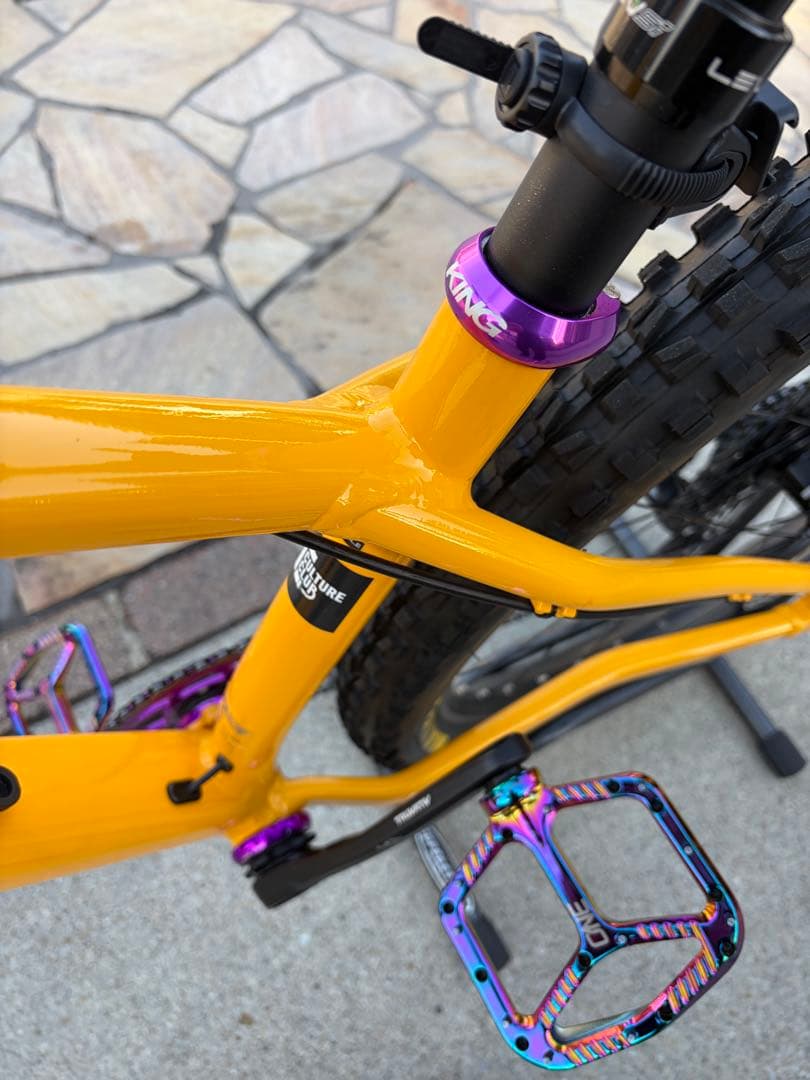 ① SANTA CRUZ chameleon カメレオン　サンタクルーズ　極美品