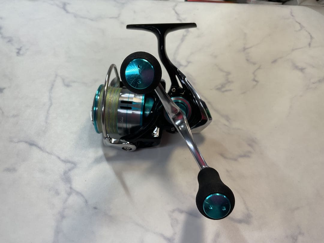 龍*様 DAIWA ダイワ 19エメラルダス LT3000S-CH-DH