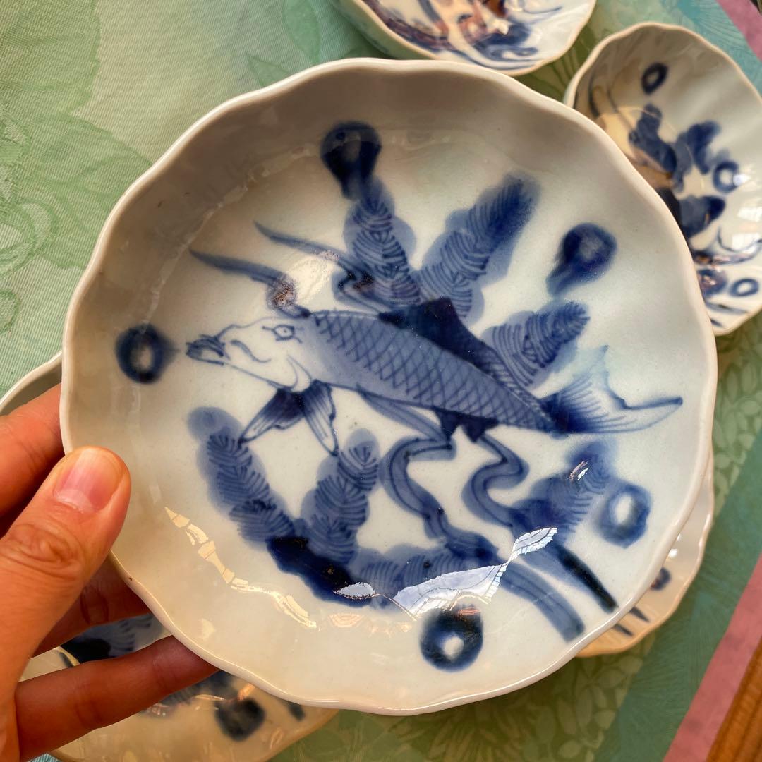 古伊万里　染付　魚　膾皿　5客