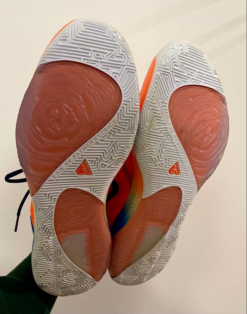 NIKE、ズームフリーク1、31センチ
