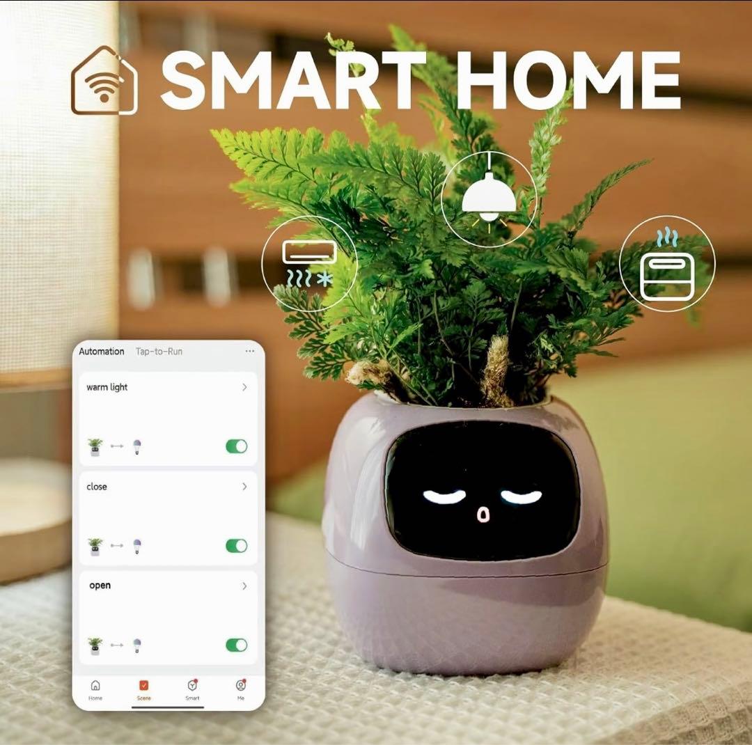 スマートペットプランター PLANTSIO 新品