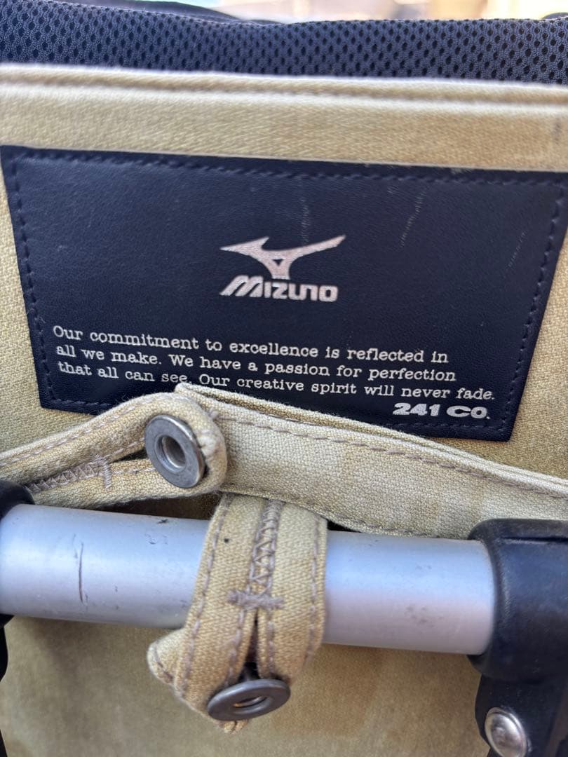 【レア】MIZUNO フレームウォーカー 241co.