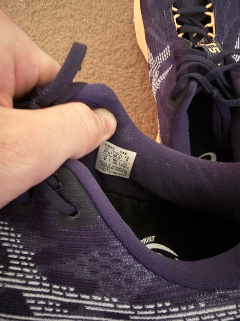 asicsノヴァブラスト5 27.0