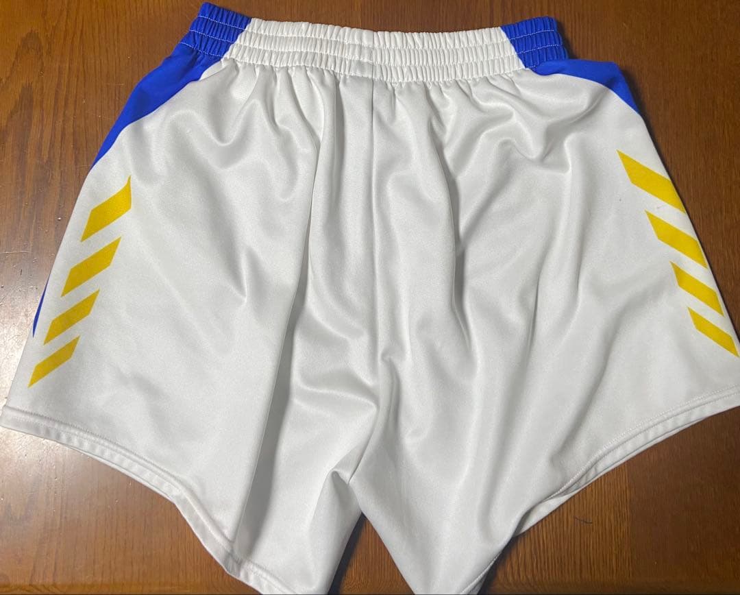 オーダーゲームパンツ デサント L