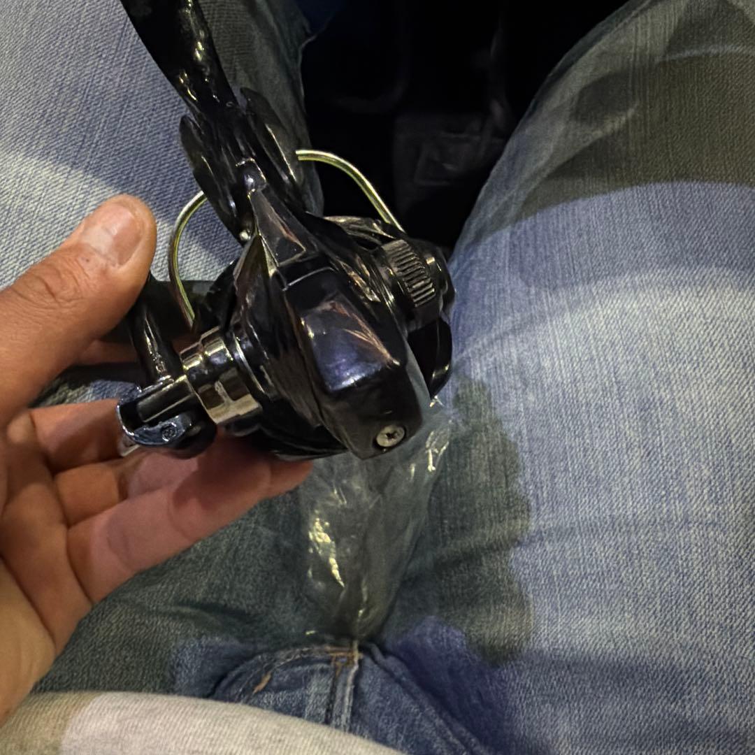 Daiwa 19CYGNUS 2500H-LBD ベイトリール
