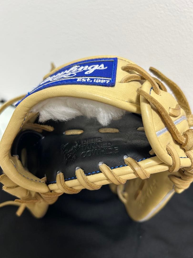 Rawlings HOH PRO EXCEL ELITE 軟式グローブ