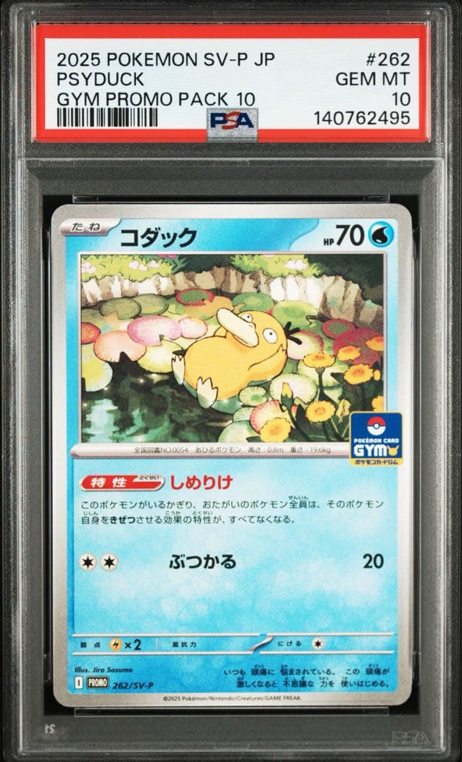 コダック P [SV-P 262](プロモ「第10弾」) PSA10 連番