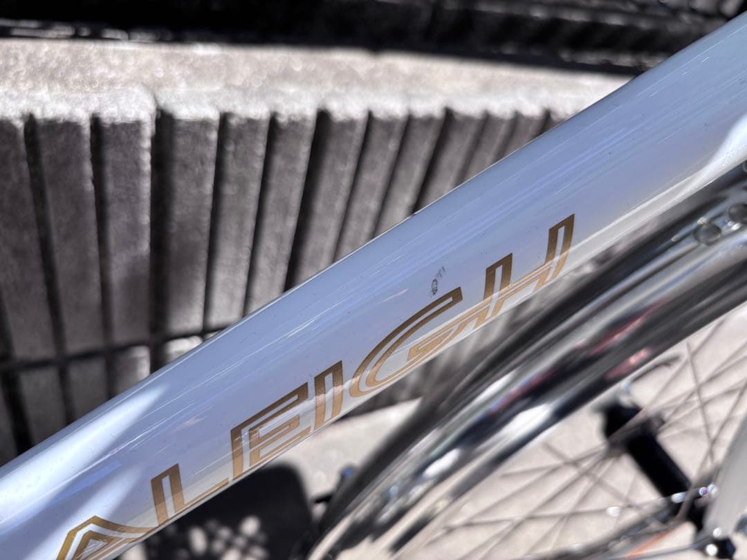 RALEIGH RSM ラレー ミニベロ ブルーラグ カスタム