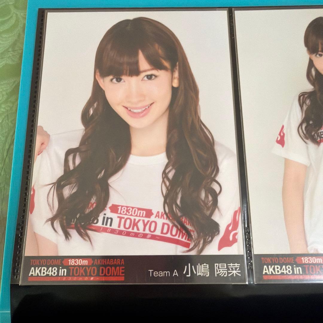 小嶋陽菜　生写真　6枚　コンサート限定