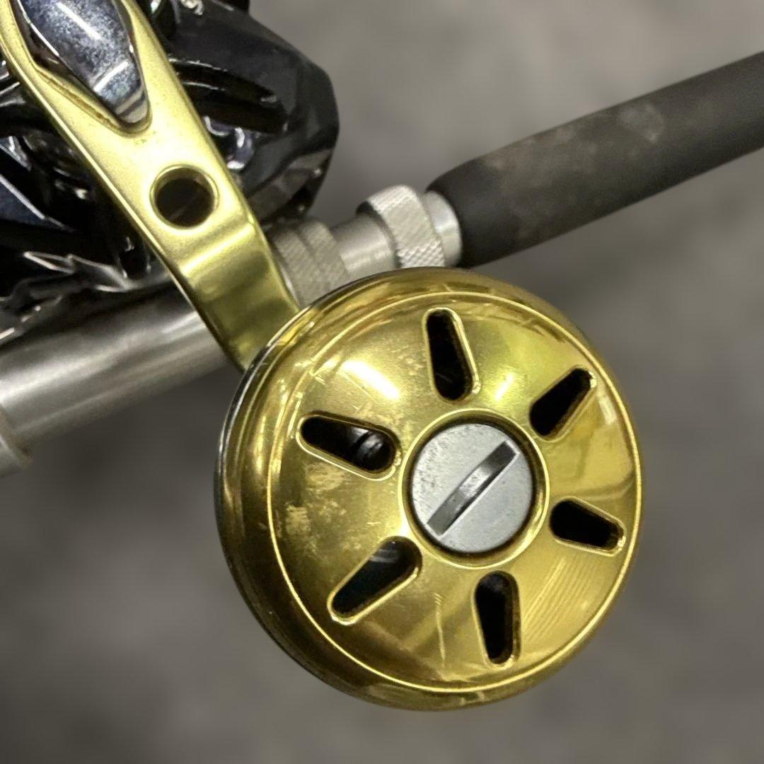 DAIWA ダイワLEOBRITZ 500J 電動リールデジタル動作未確認竿付き