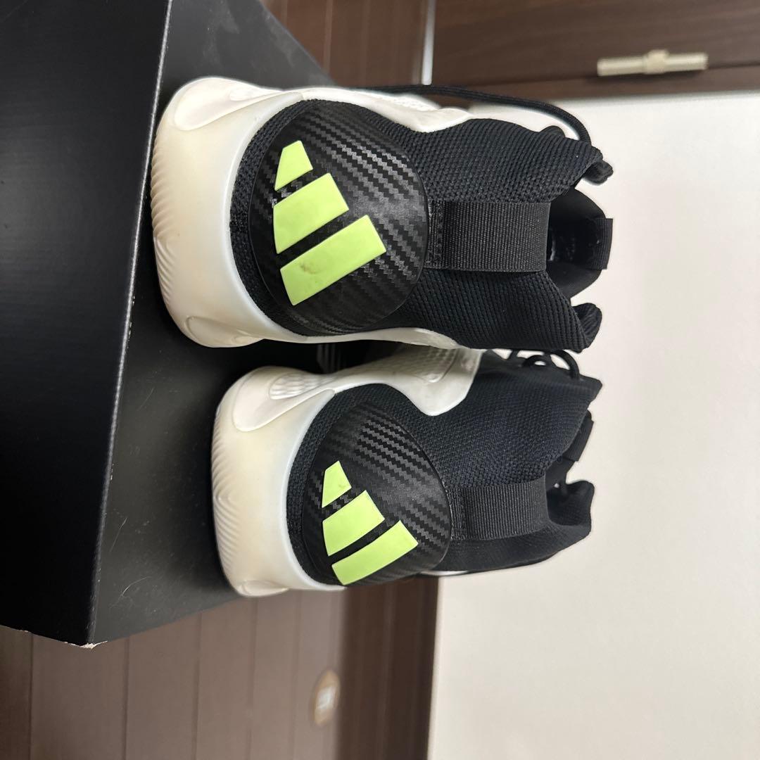 シューズ(男性用) adidas AE1 29.5