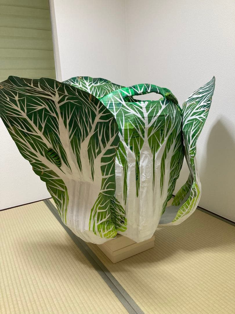 ダンボール製白菜コンテナ