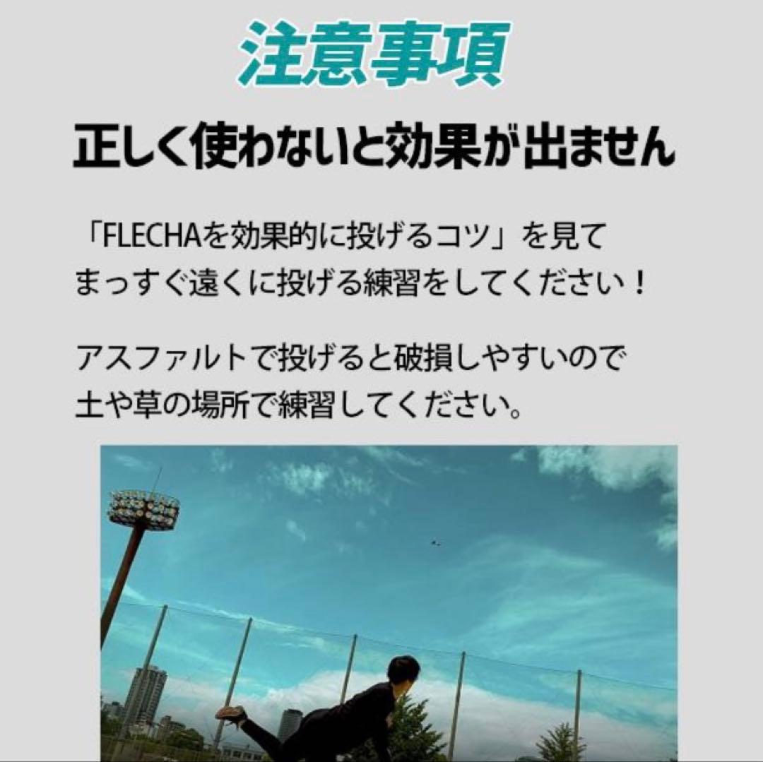 ぴかちゅ