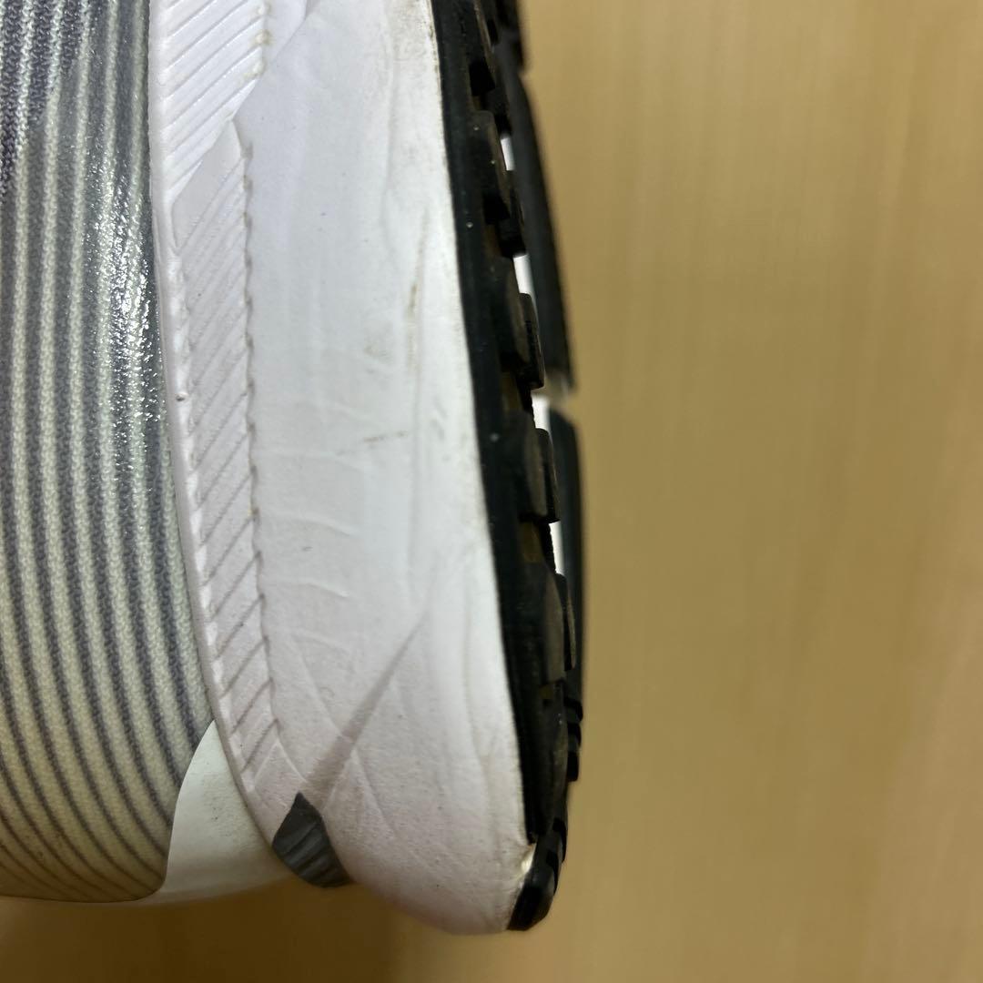 Nike Oregon project ペガサス　サイズ28cm
