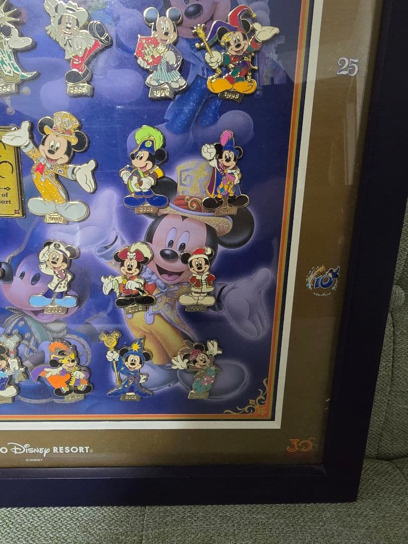 東京ディズニーリゾート 30周年記念コレクションピン バッジセット