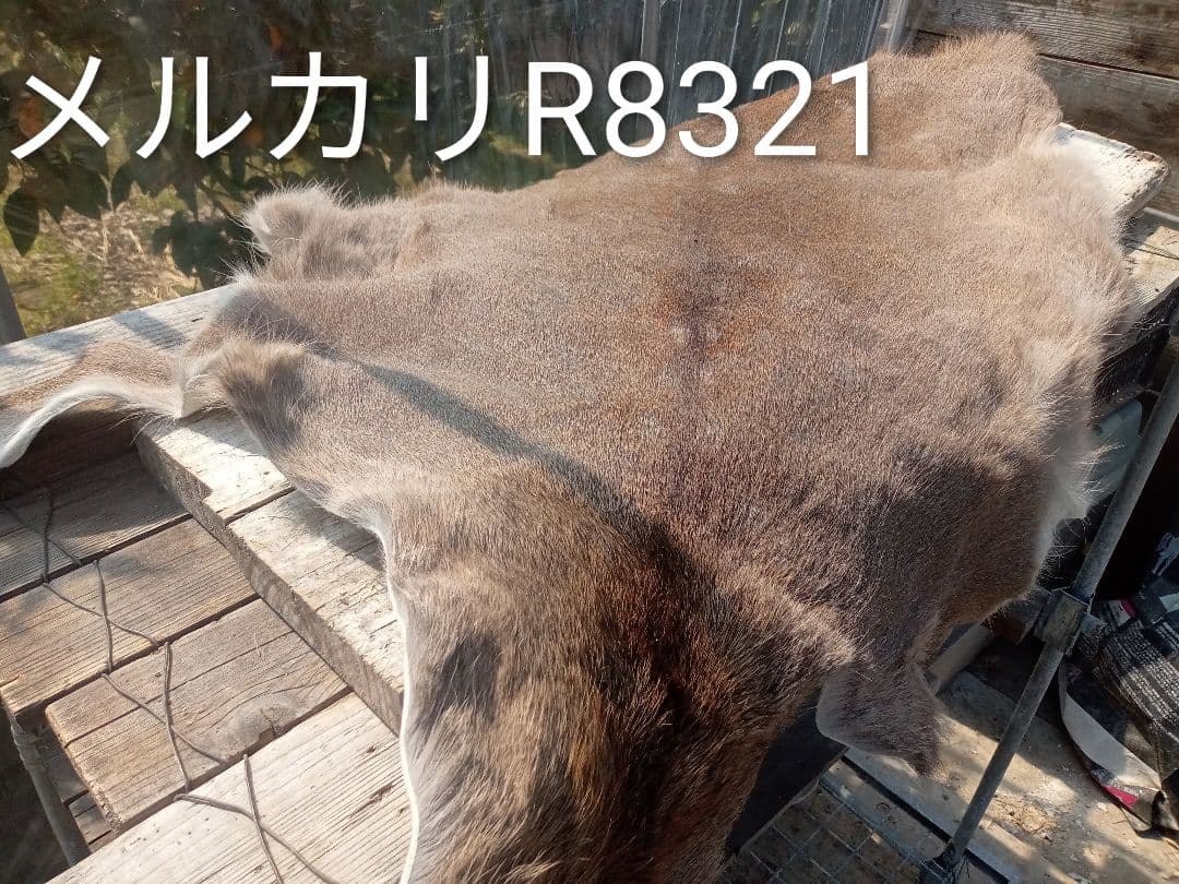 天然日本鹿の冬毛　ラグ