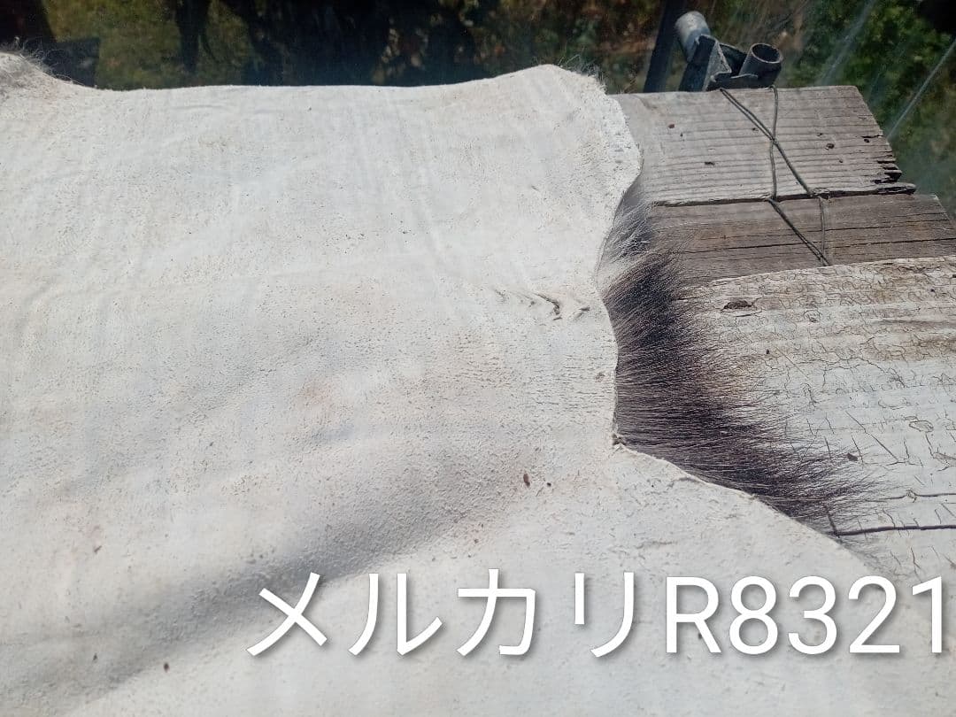 天然日本鹿の冬毛　ラグ