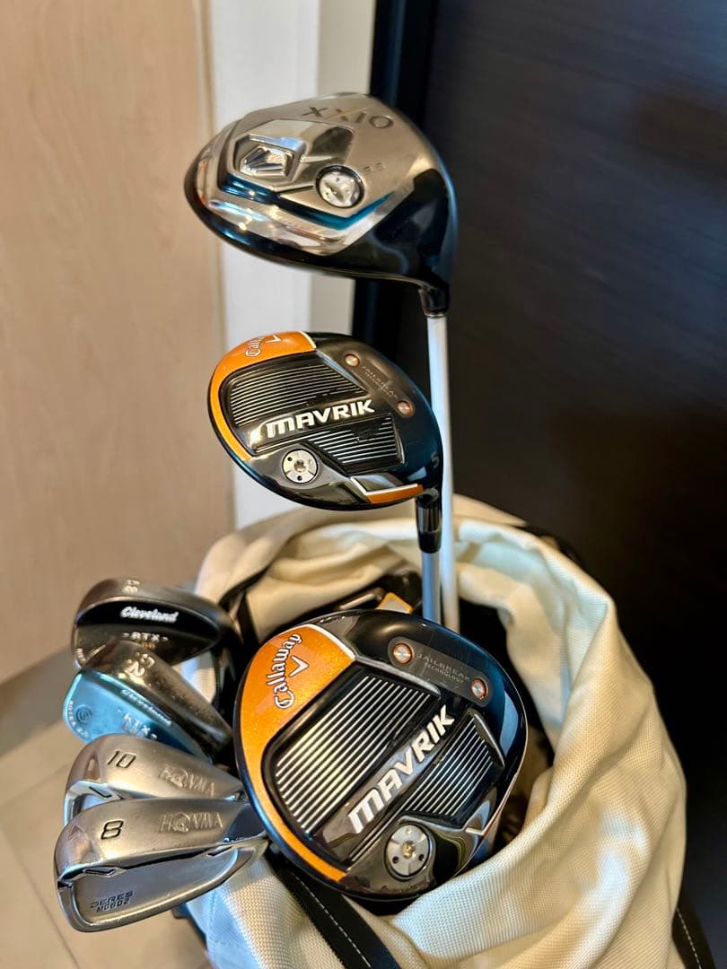 【初心者オススメ】BRIEFING BEAMSGOLFキャディバッグクラブセット