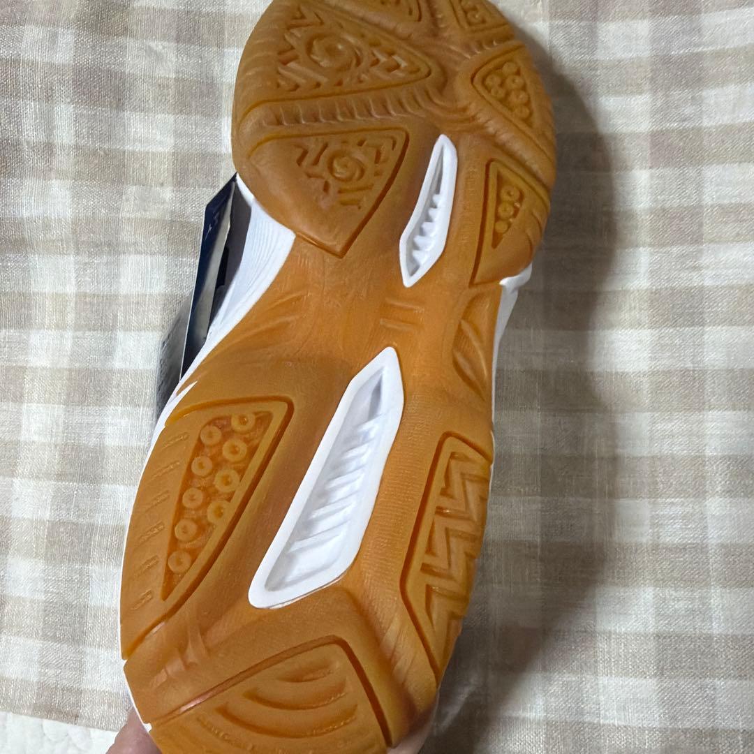 【新品】Mizuno Sky Blaster バドミントンシューズ 24.5
