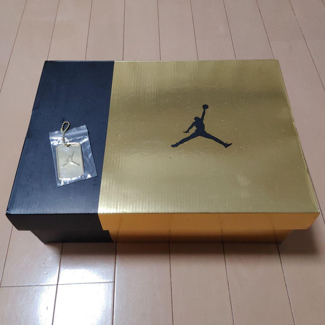 ナイキ AIRJORDAN 6 レトロ DMP