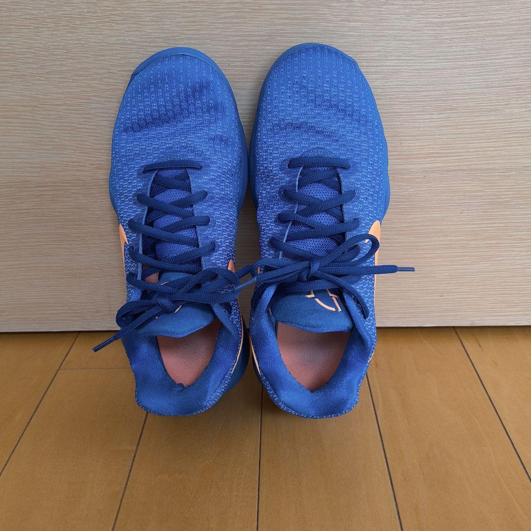 Nike ハイパーダンク 2017 low