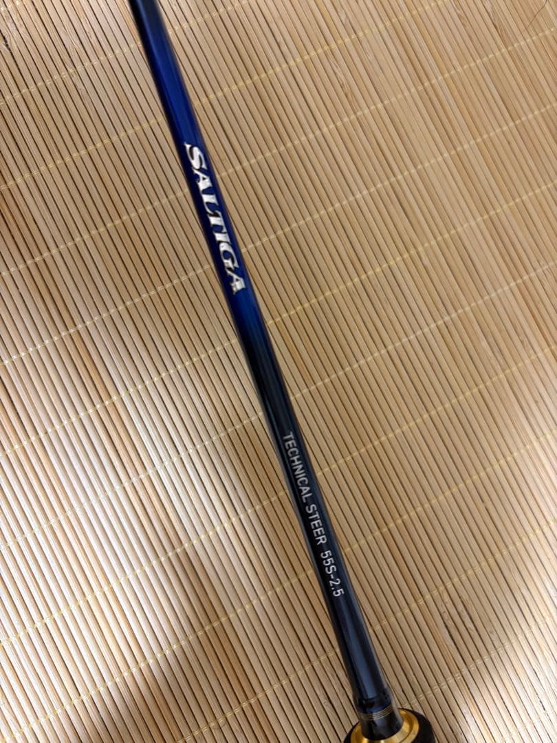 ロッド DAIWA SALTIGA J TECHNICAL STEER S55-2.5