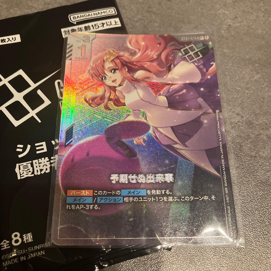予期せぬ出来事　パラレル 新品
