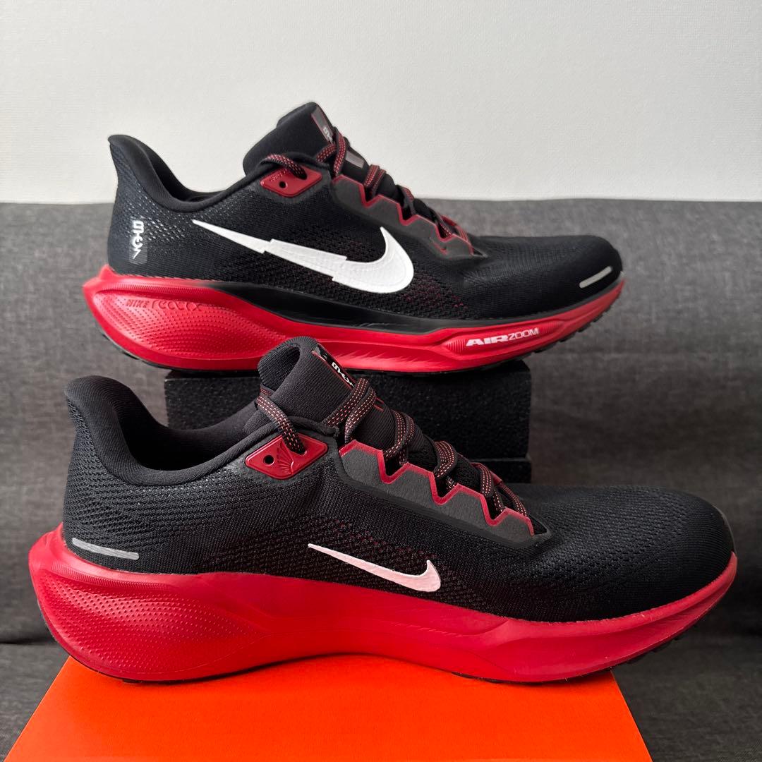 ペガサス 41 NIKE ナイキ 28.5cm