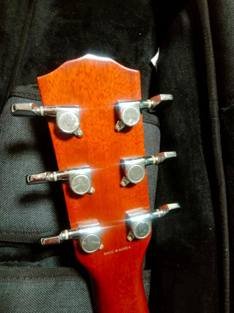 Fender トップ単 韓国製 DG21S ドレッドノート