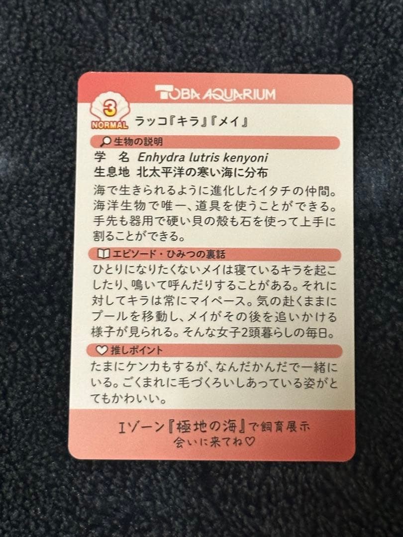 鳥羽水族館コレクションカードvol.2 メイキラ　ニコイチカード 44 45番