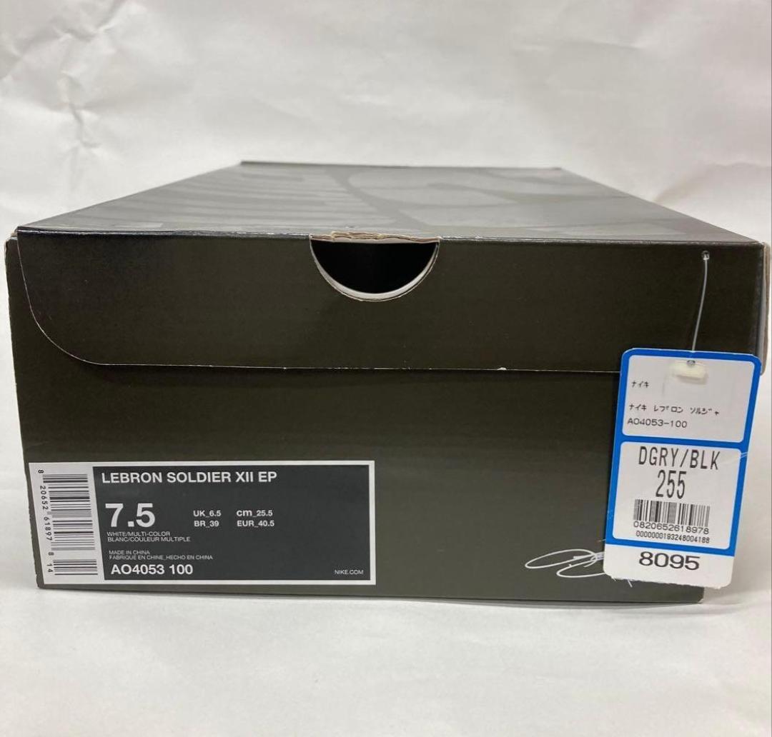 シューズ(男性用) Nike LeBron Soldier XII 12 Irish EP