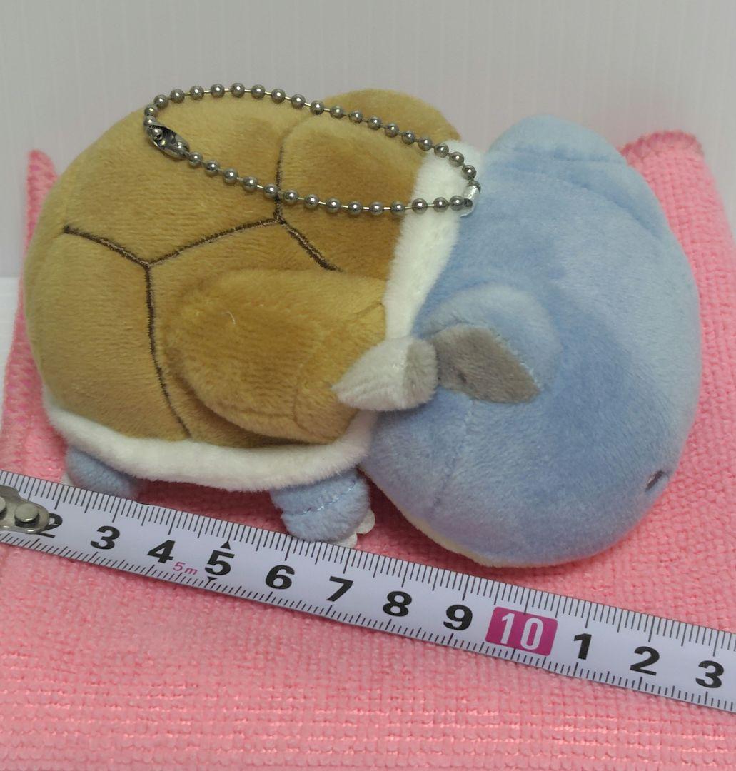 レア!　ポケモンセンターオリジナル マジパンマスコット カメックス　マスコット