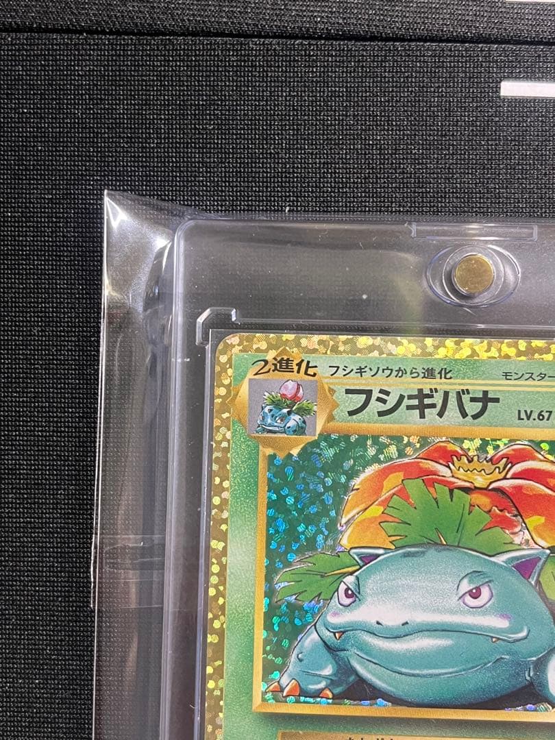 ポケモンカード 25th プロモ カメックス＆フシギバナ