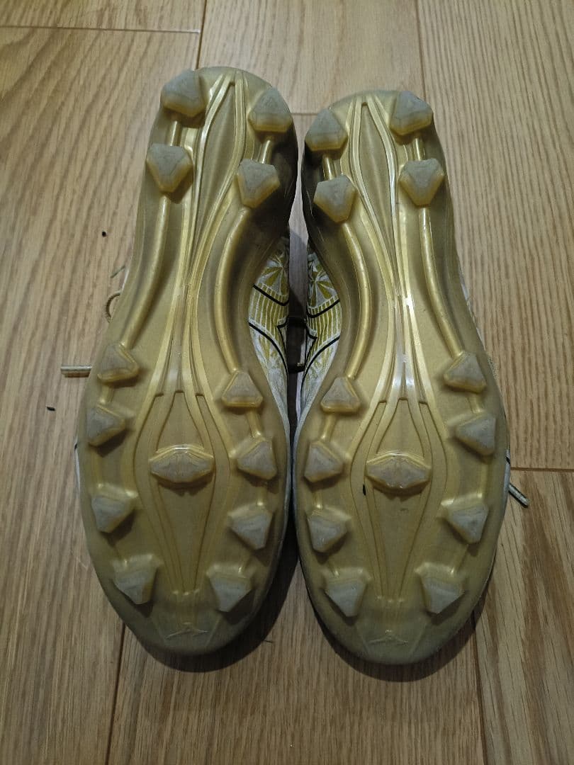 ミズノアルファ PRO 24.5cm