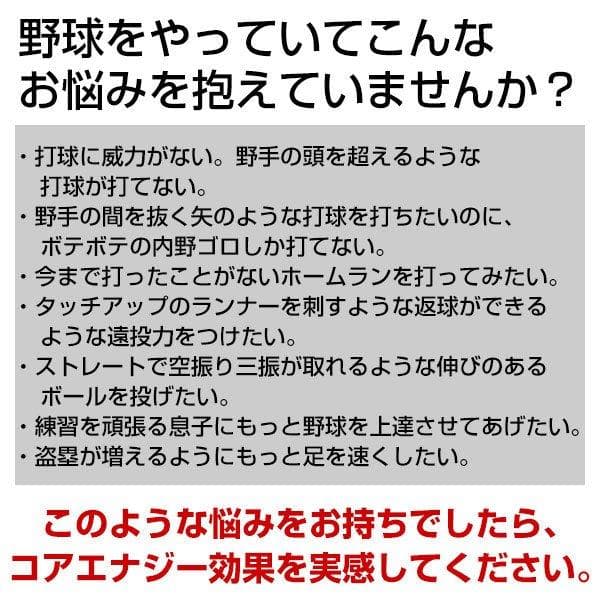 野球専用ベルト　コアエナジー3　サイズ調整可　ロイヤルブルー /シルバー　ベルト