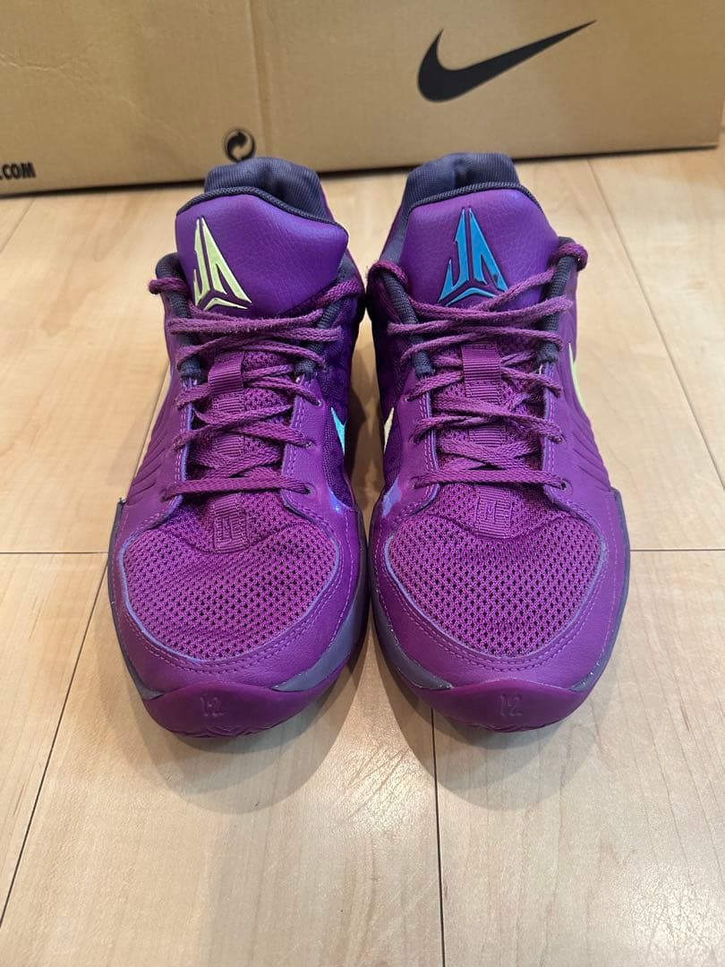 シューズ(男性用) Nike ja2