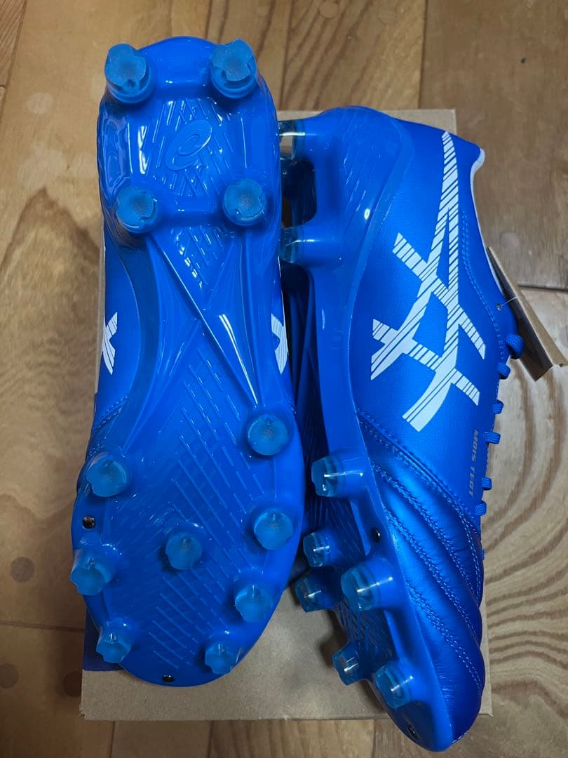 新品　限定カラー　大特価　アシックス　DSライト X-FLY5 25cm