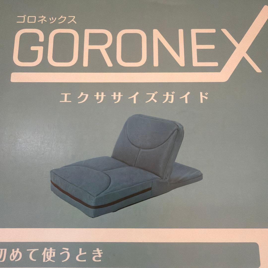 GORONEX エクササイズガイド ブルー　腹筋マシーン