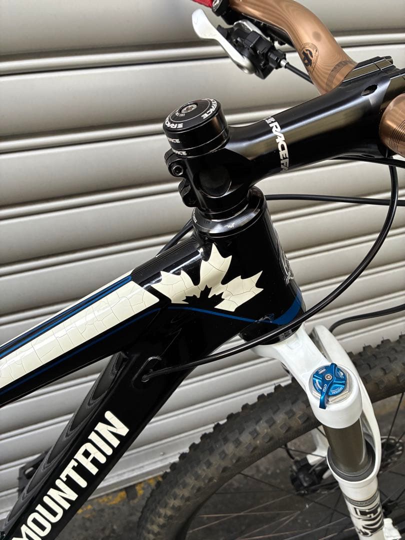 自転車本体 ROCKY MOUNTAIN 29