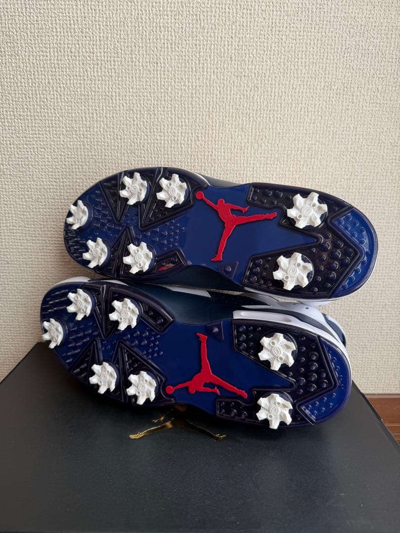 【新品：28.0cm】NIKE ジョーダン　レトロ6 G ゴルフ用