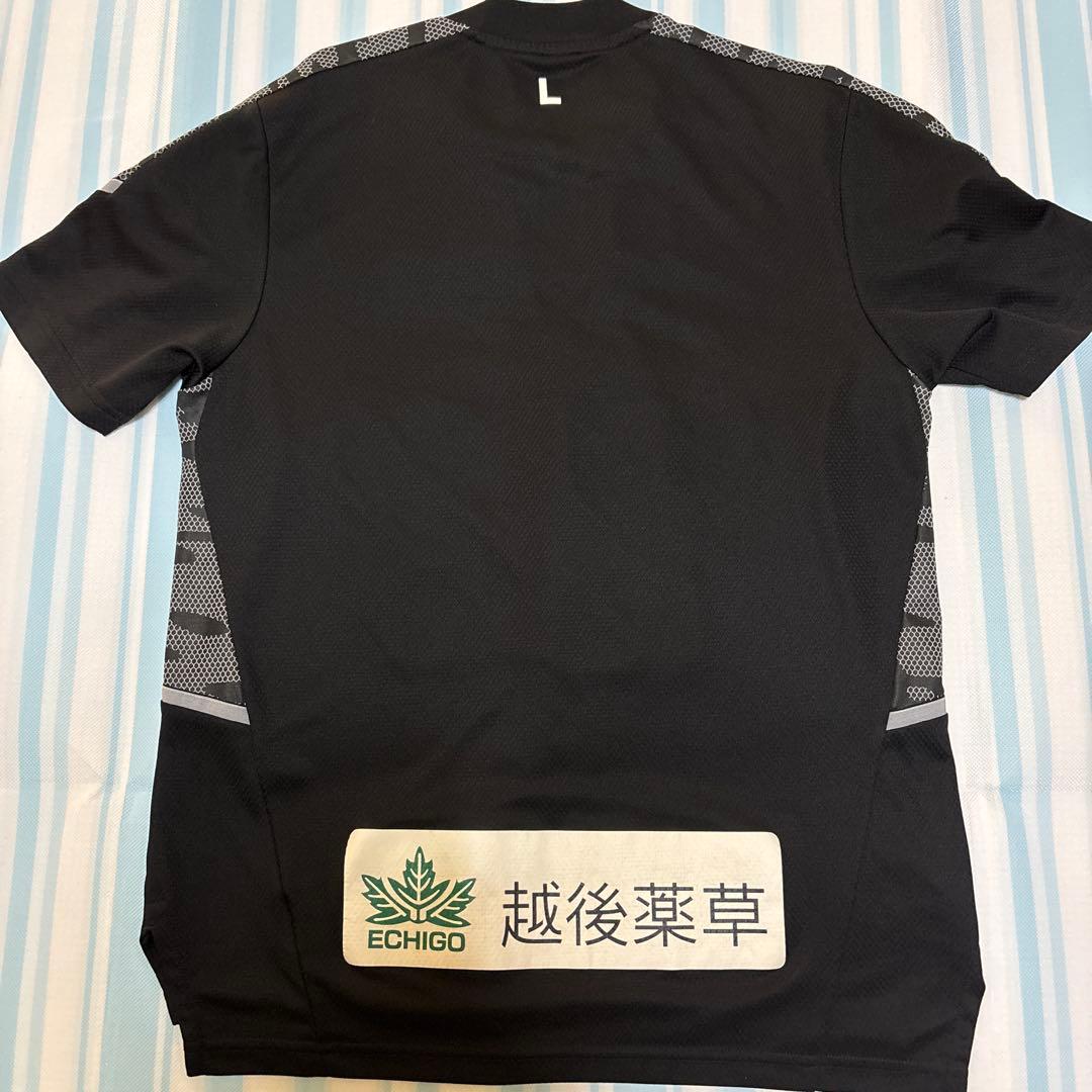 アルビレックス新潟