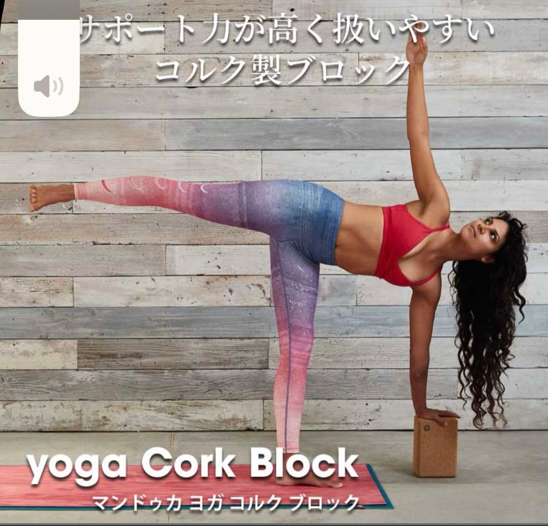お値下げ！人気 Manduka コルクヨガブロック 2個セット Sサイズ