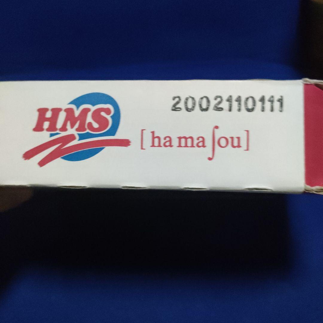 浜田省吾武道館2002年コンサートグッズTシャツ