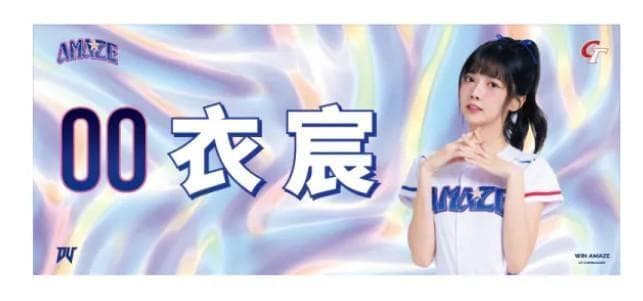 2026　WBC　台湾チア　00　衣宸　イーチェン　応援　タオル