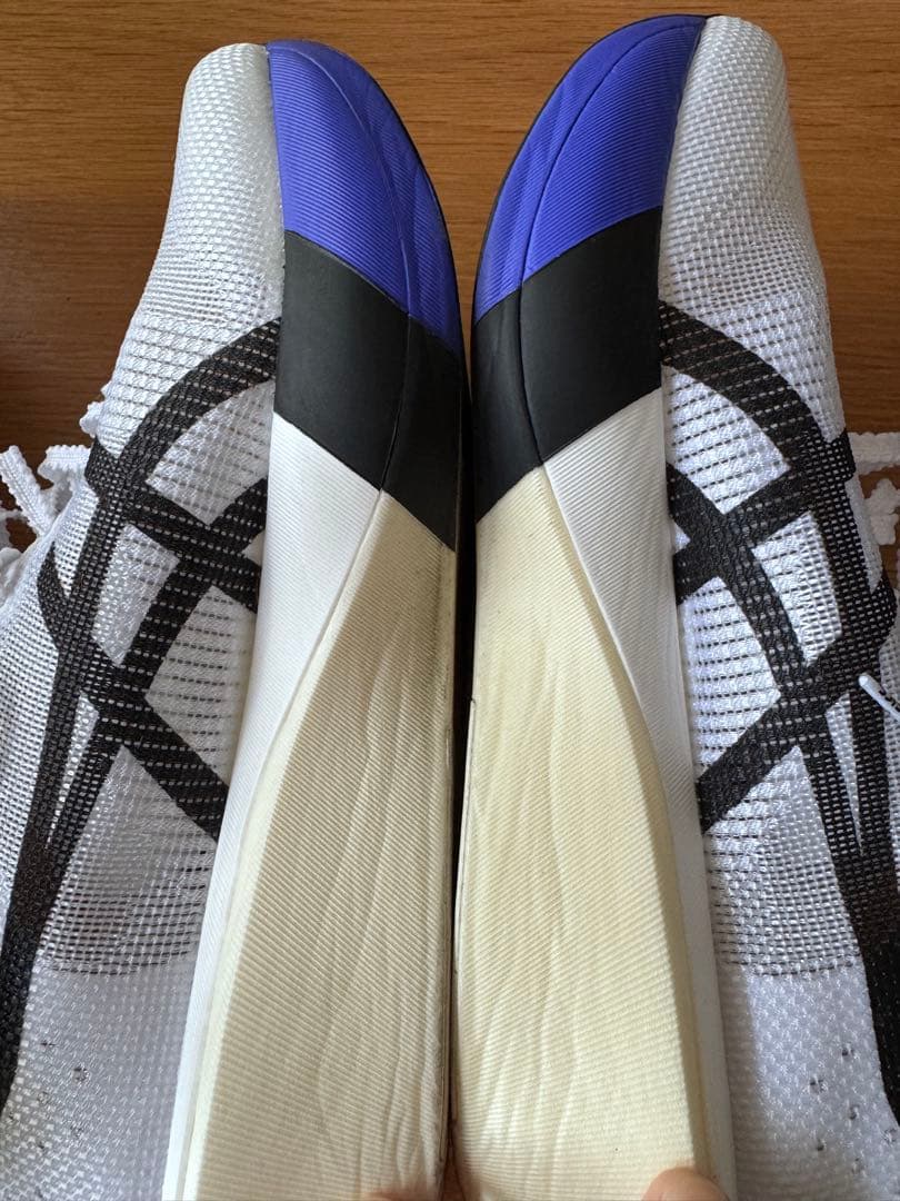 ASICS SPEED EDGE TOKYO 26.0cm 10キロ走行