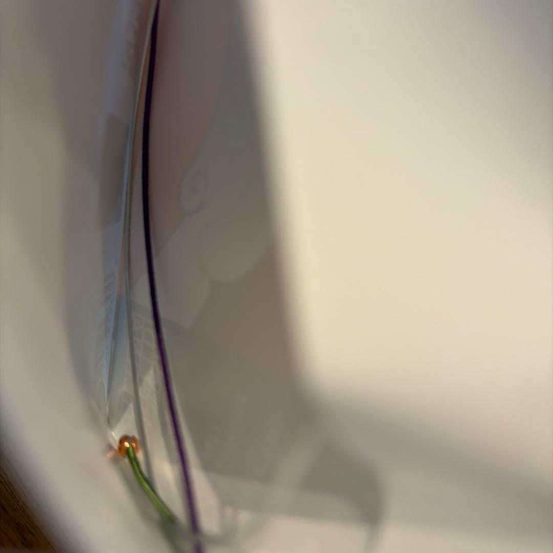 新品Dominant バイオリン弦 4セット