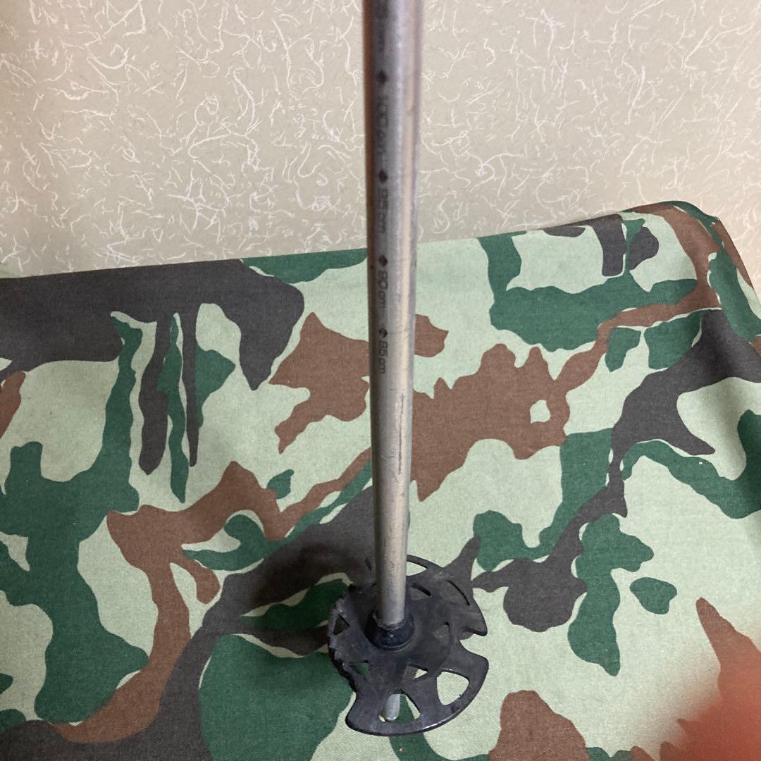  ストック　ウィペット