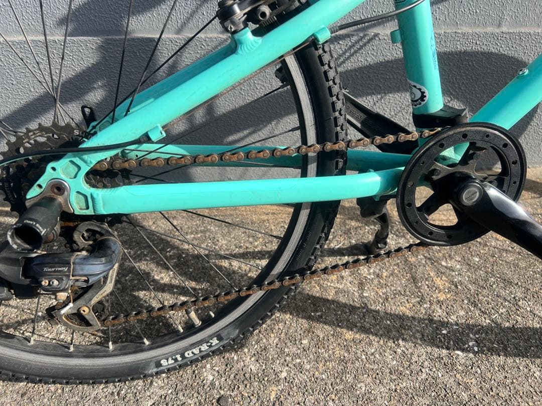 Bianchi Pirata キッズバイク 水色