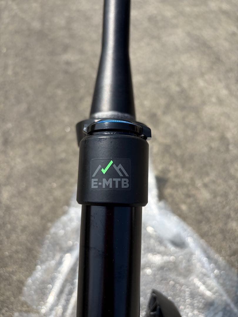 RockShox Domain フロントフォーク