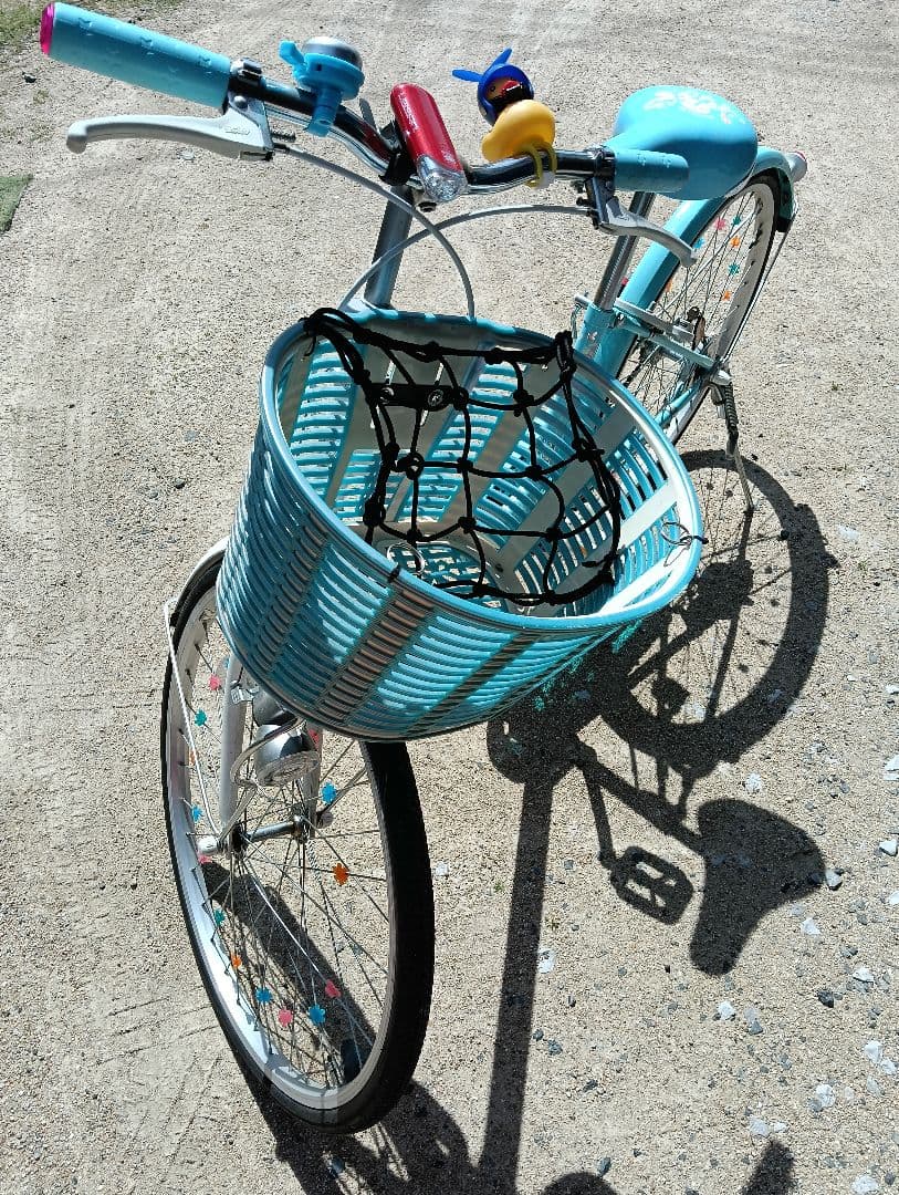 ブリヂストン EPL001 20インチ 子供用自転車 水色　直接受け渡し希望